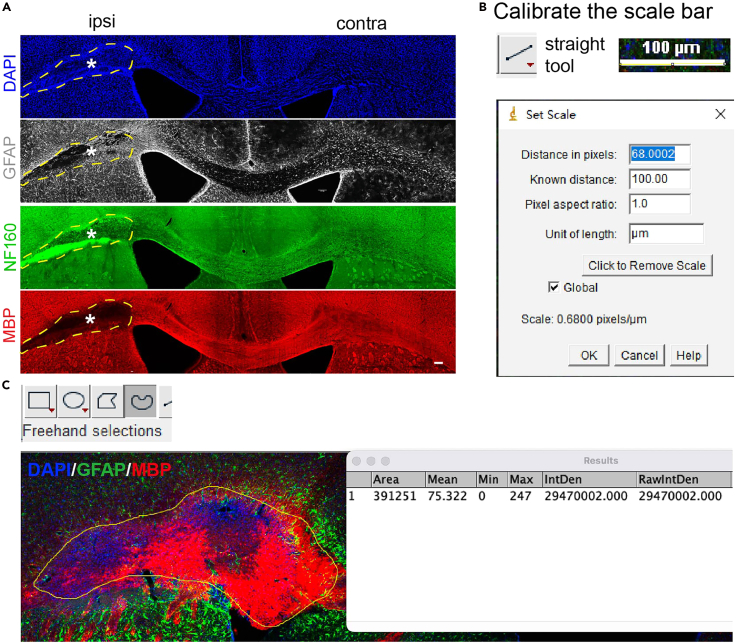 Figure 6