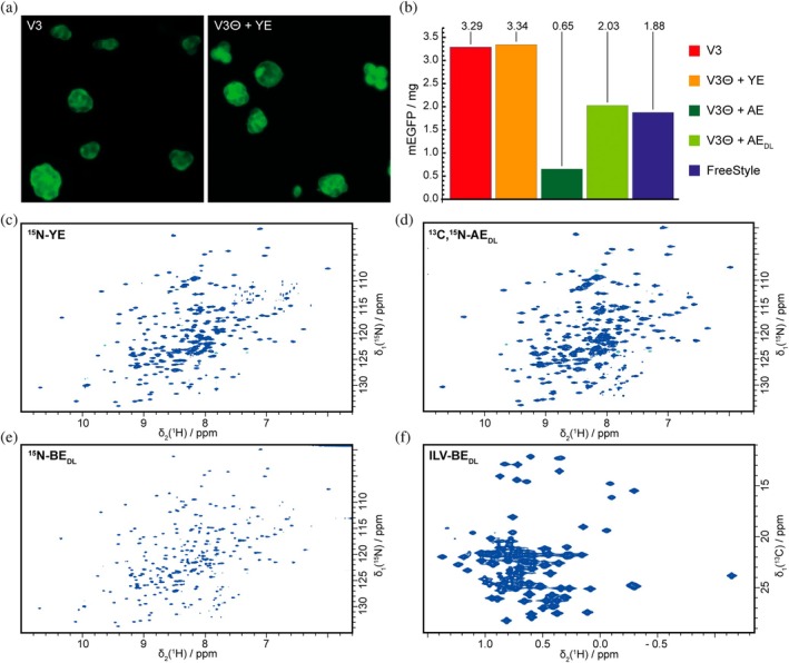 FIGURE 3