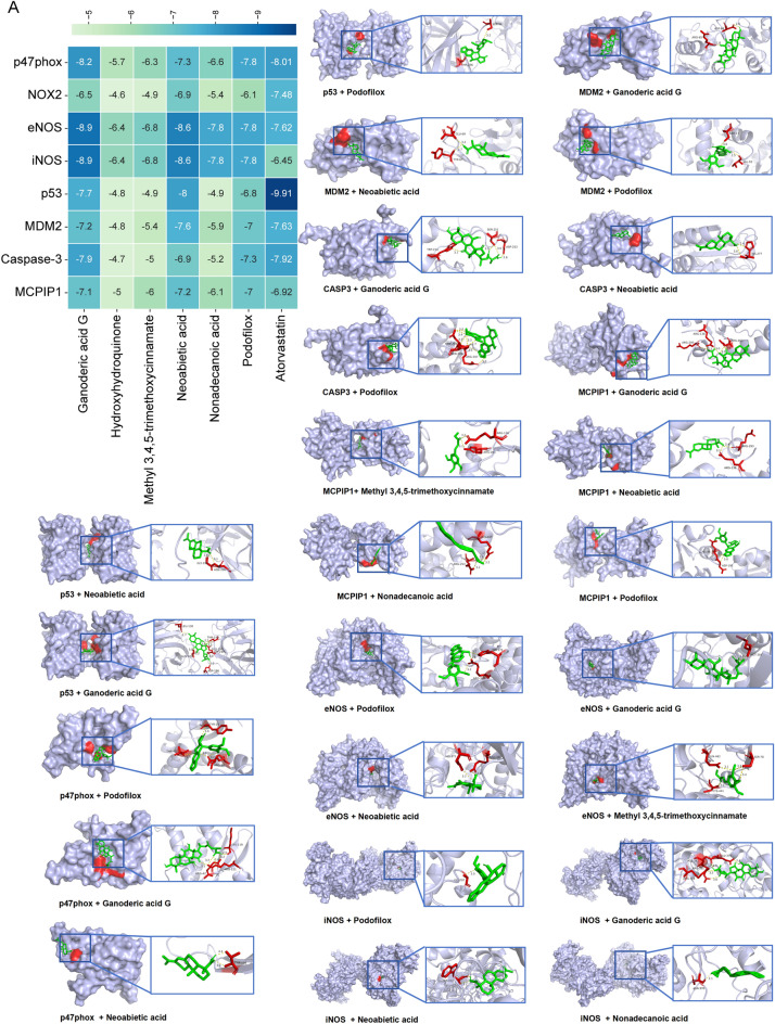 Figure 13