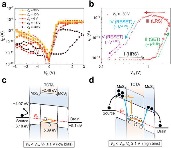FIGURE 2
