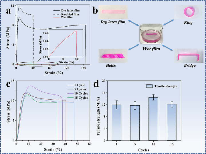 FIGURE 4
