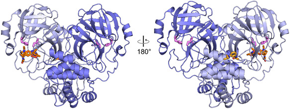 FIGURE 3