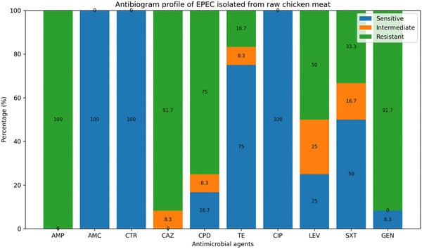 FIGURE 3
