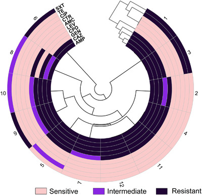 FIGURE 4