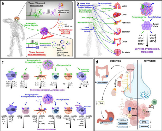 FIGURE 38