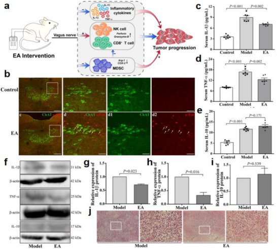 FIGURE 39