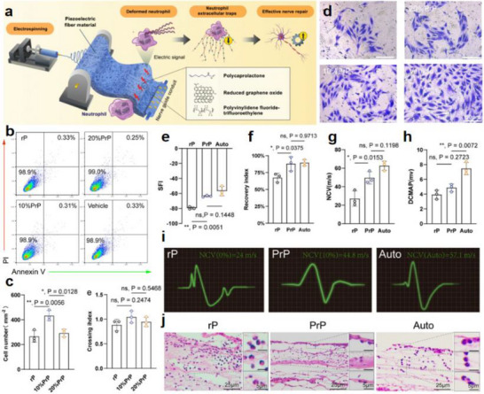 FIGURE 42