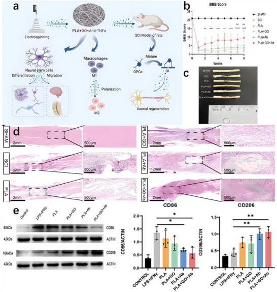 FIGURE 32