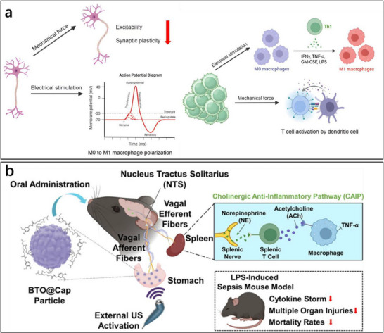 FIGURE 27