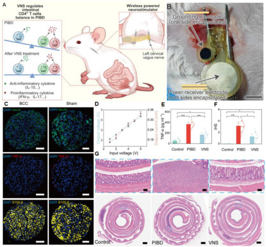 FIGURE 37