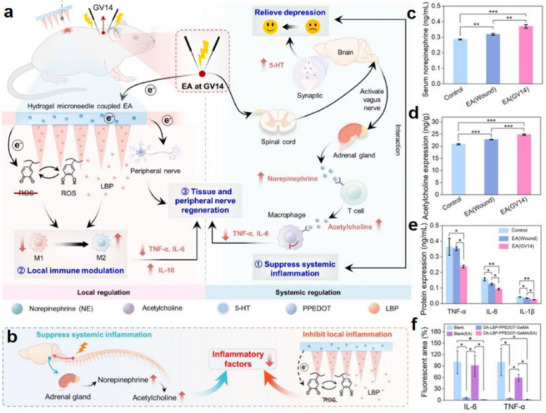 FIGURE 36