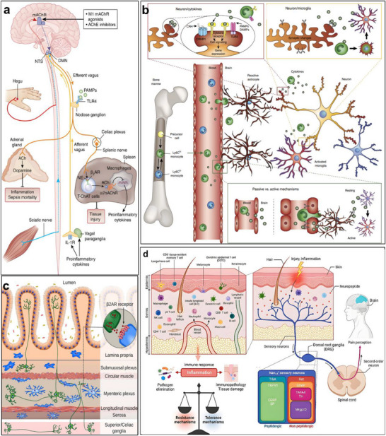 FIGURE 2