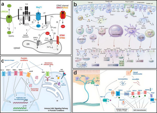 FIGURE 28