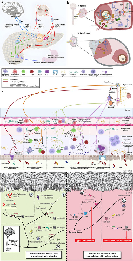 FIGURE 29