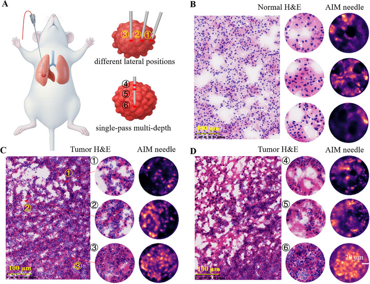 FIGURE 3