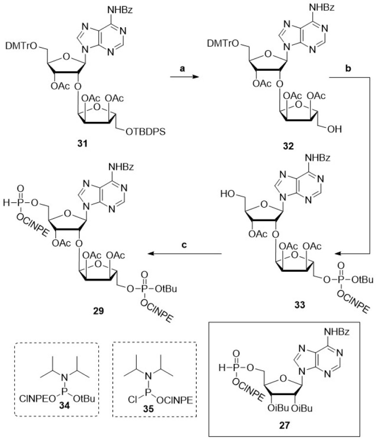 Scheme 1