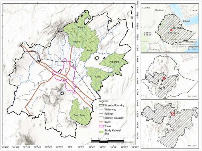 FIGURE 2