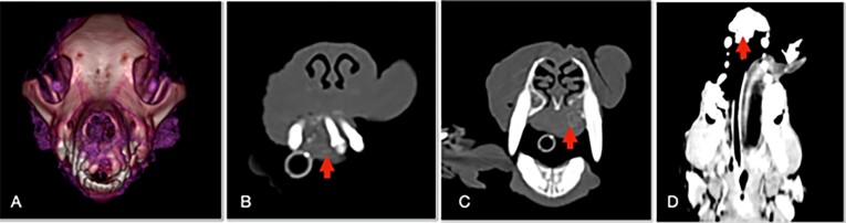 Figure 2