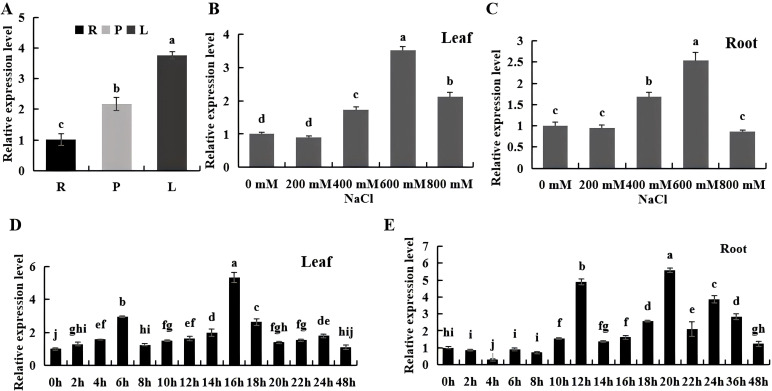 Figure 3