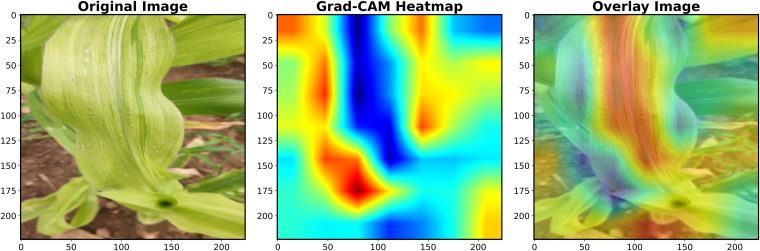 Fig 10