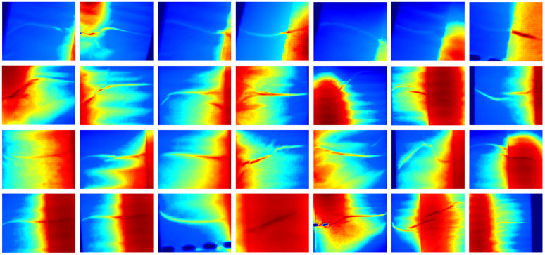 Fig 3