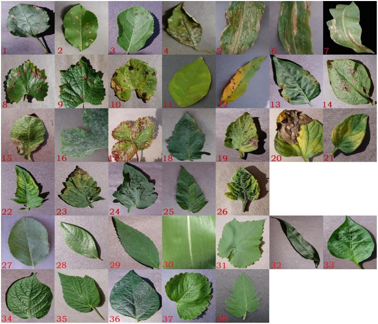 Fig 1