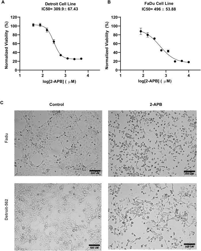 Fig 3