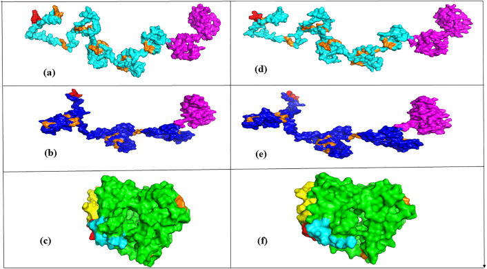 Fig 6