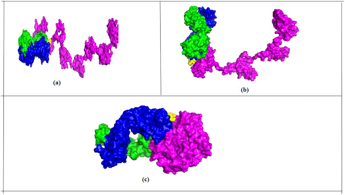 Fig 9