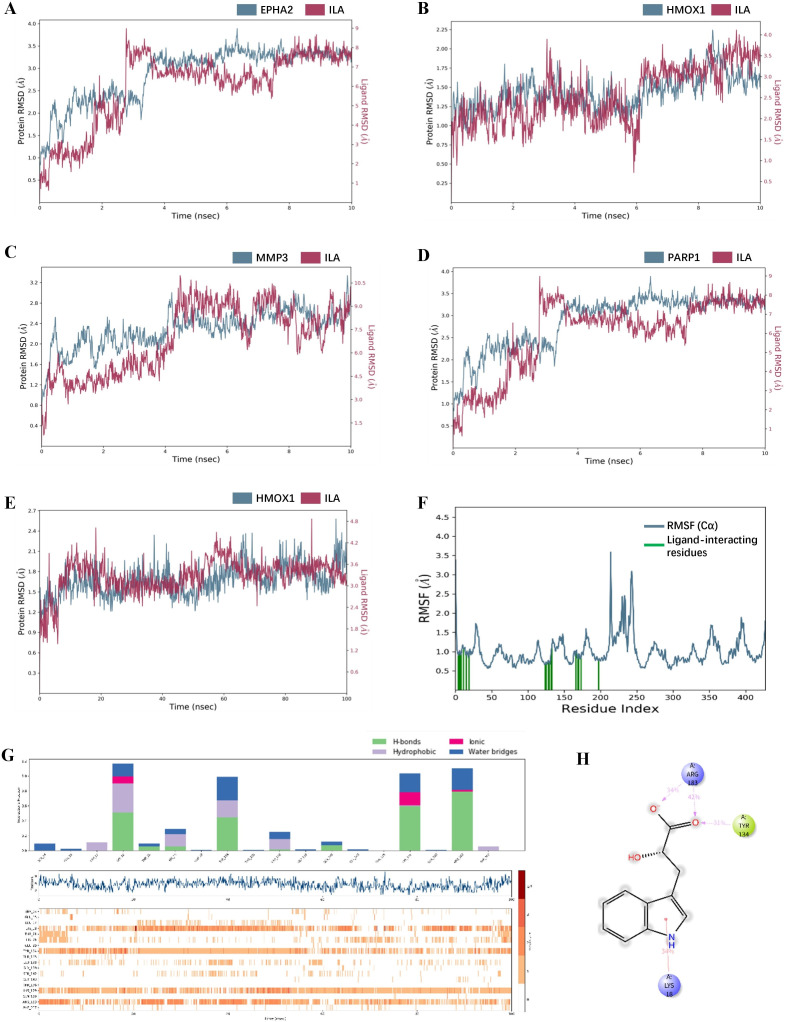 Fig 10