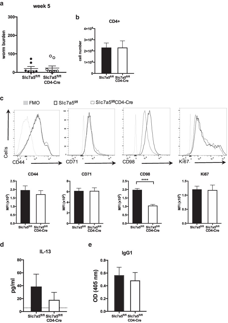 Figure 5
