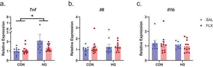 FIGURE 3