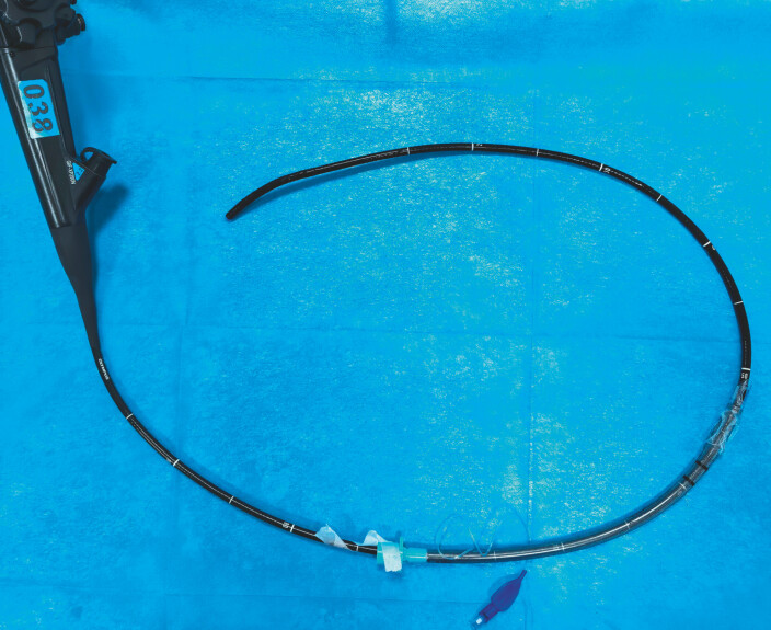 Fig. 1
