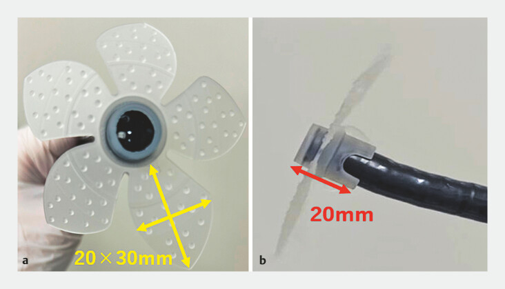 Fig. 4