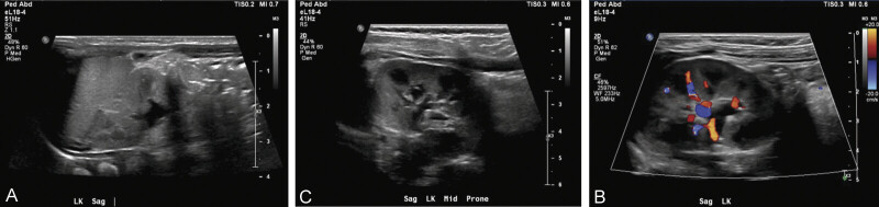 Fig. 4