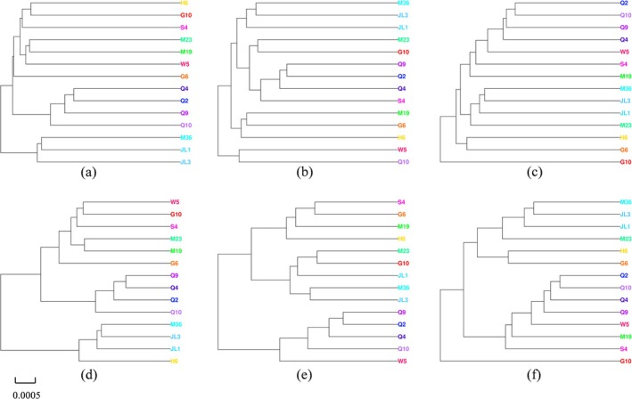 FIGURE 6