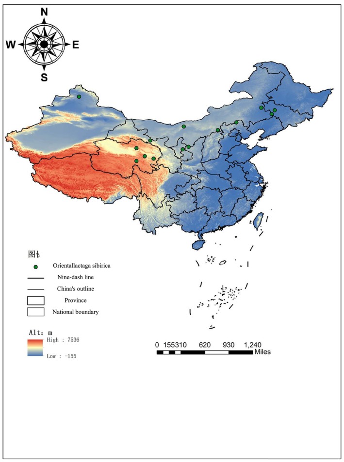 FIGURE 1