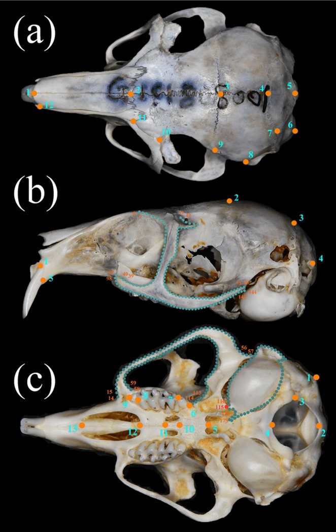 FIGURE 2
