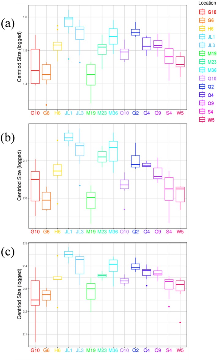 FIGURE 3