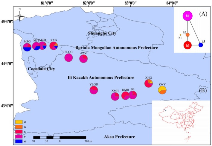FIGURE 1