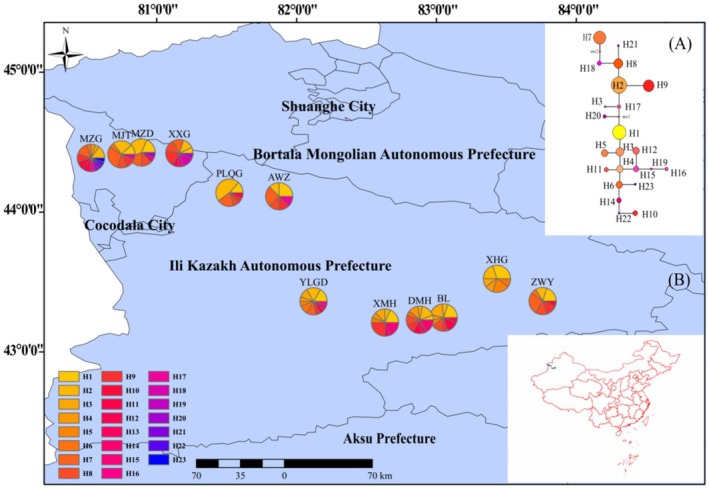FIGURE 2