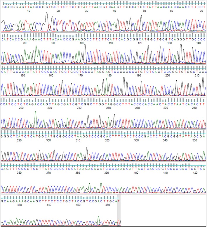 FIGURE 4