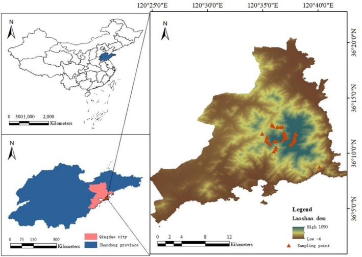 FIGURE 2