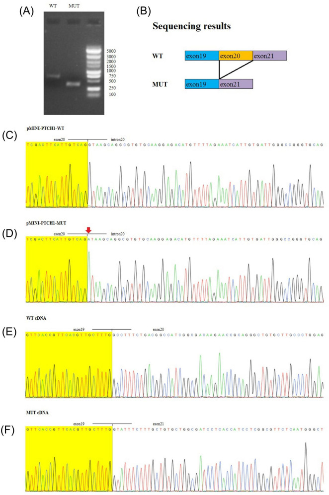 FIGURE 3