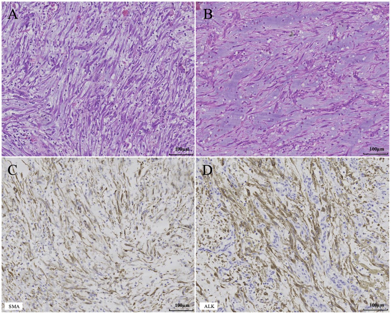 Figure 3