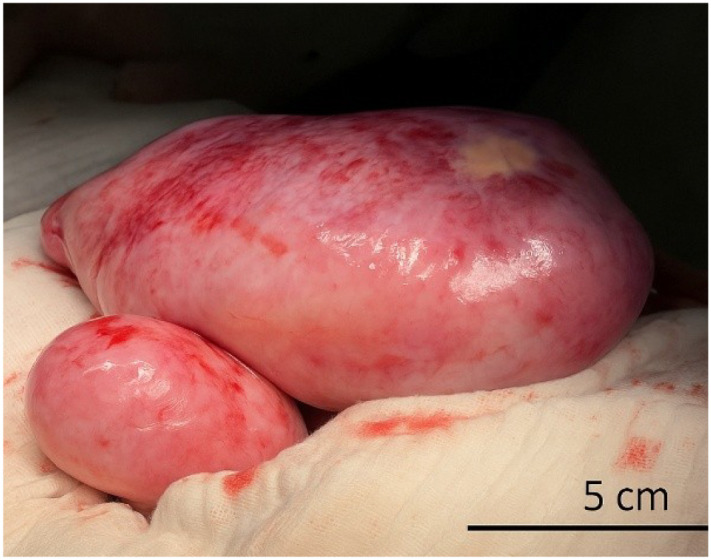 Figure 3
