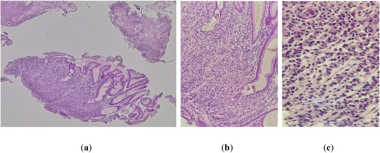 Figure 7