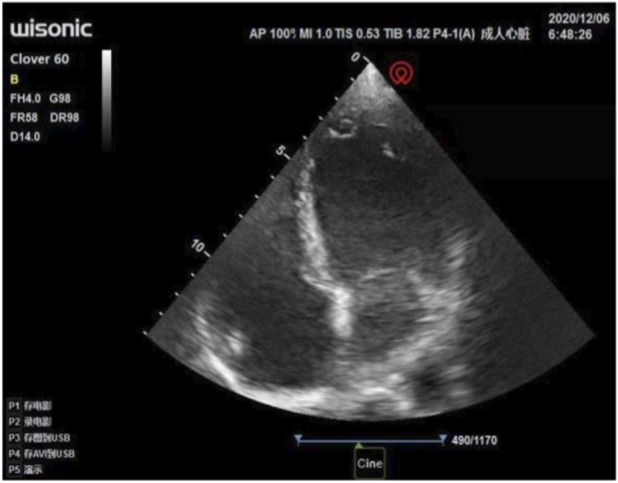 FIGURE 1