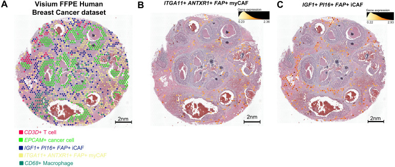 Figure 6
