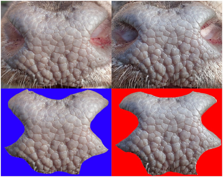 Figure 5